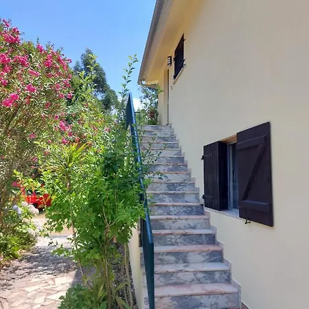 Apartament Melita *